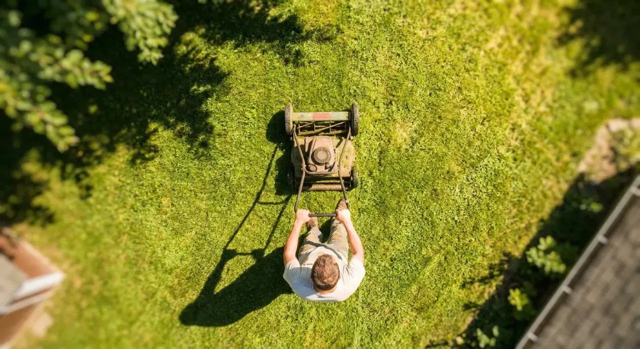 Overhead view of a person pushing a lawn mower across a green suburban lawn, in bright midday sun
