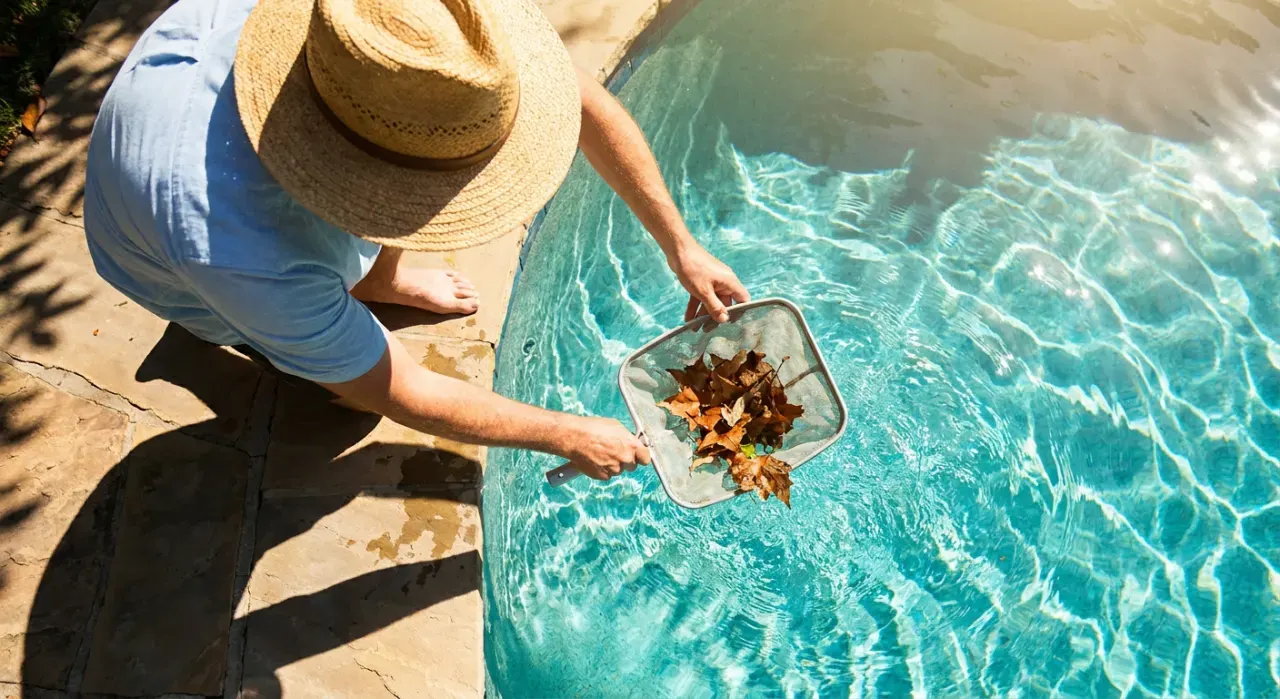 Overhead view of a person skimming leaves from the surface of a backyard pool, in bright midday sun